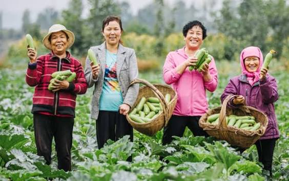 Phụ nữ nông thôn làm chủ tri thức, công nghệ và thị trường
