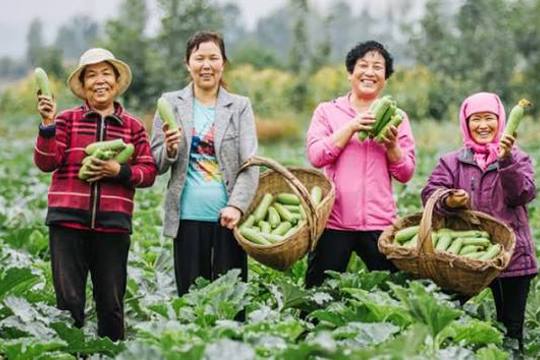 Phụ nữ nông thôn làm chủ tri thức, công nghệ và thị trường