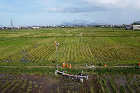 Để mùa xuân sáng hơn