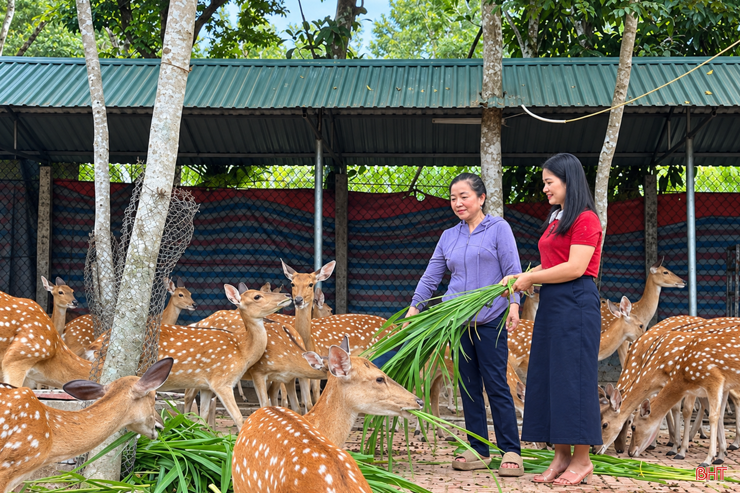 Nông dân Hà Tĩnh đang từng bước nâng cao năng lực, tư duy và khả năng tự tổ chức sản xuất. bqbht_br_a1ee70b44-c2d0-4692-bcb1-f6b1c3221edf.png