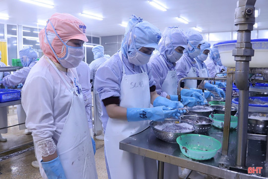 Thủy sản Nam Hà Tĩnh "lột xác", mở ra cơ hội việc làm mới cho nhiều lao động 