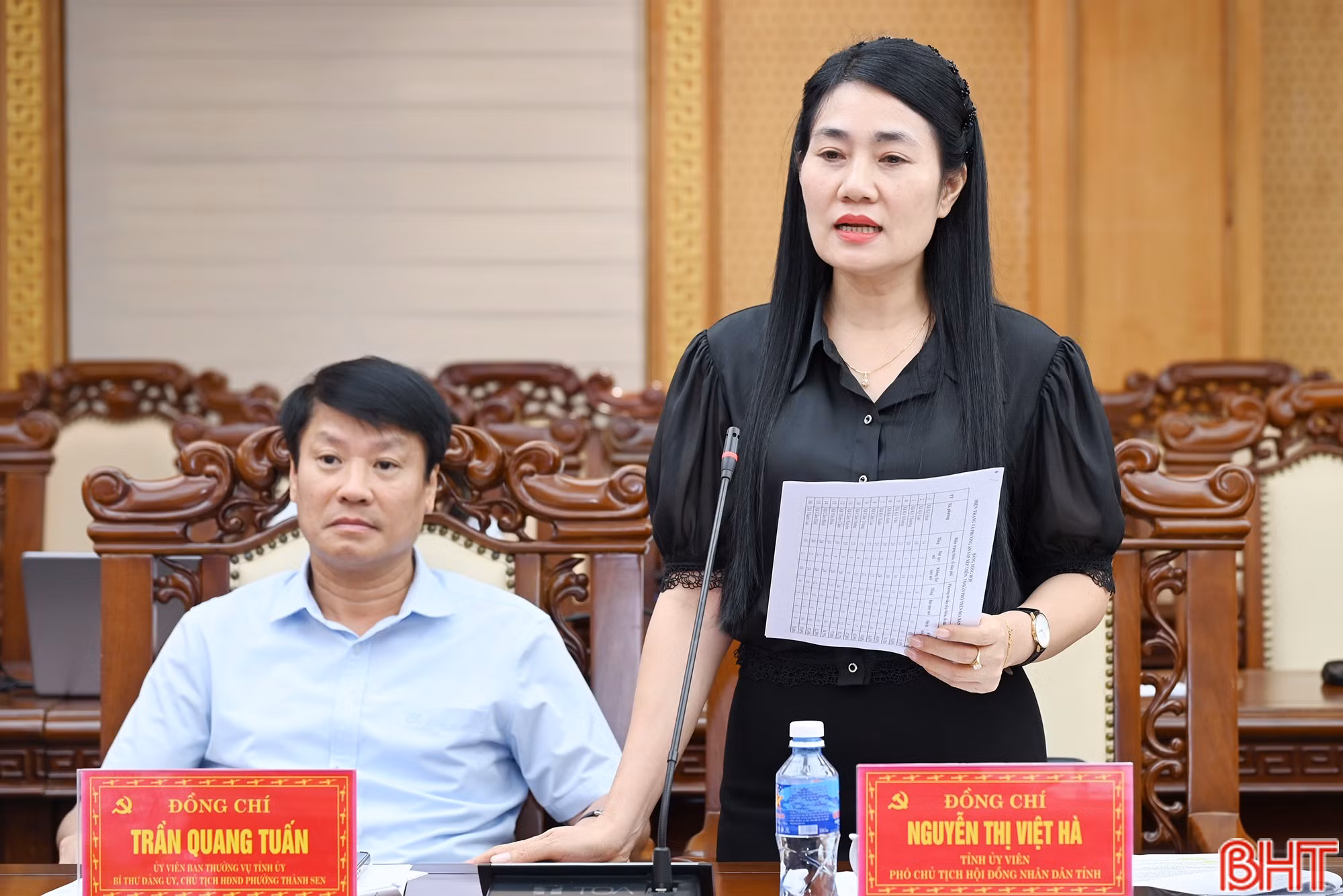 Phó Chủ tịch HĐND tỉnh Nguyễn Thị Việt Hà phát biểu tại cuộc họp.