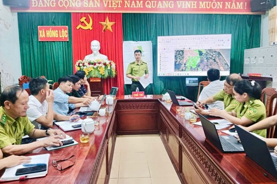 Xã Hồng Lộc tăng cường quản lý đất lâm nghiệp gắn với bảo vệ rừng