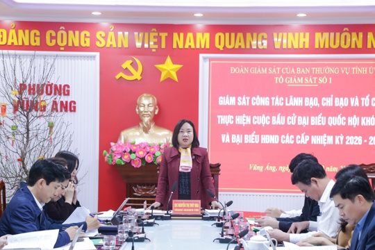 Kiểm tra, giám sát triển khai nhiệm vụ bầu cử tại Phường Vũng Áng