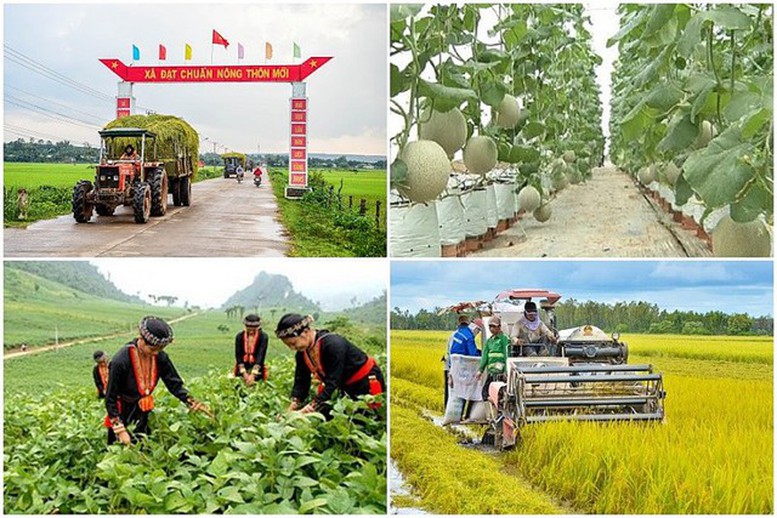 Xây dựng cơ sở dữ liệu và chế độ báo cáo trực tuyến trên Hệ thống giám sát, đánh giá các chương trình mục tiêu quốc gia