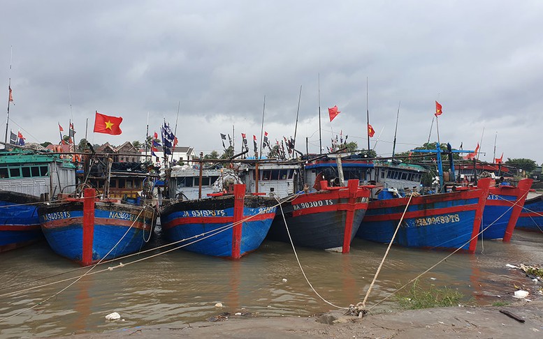 Hướng dẫn tàu thuyền neo đậu, tránh, trú bão số 10