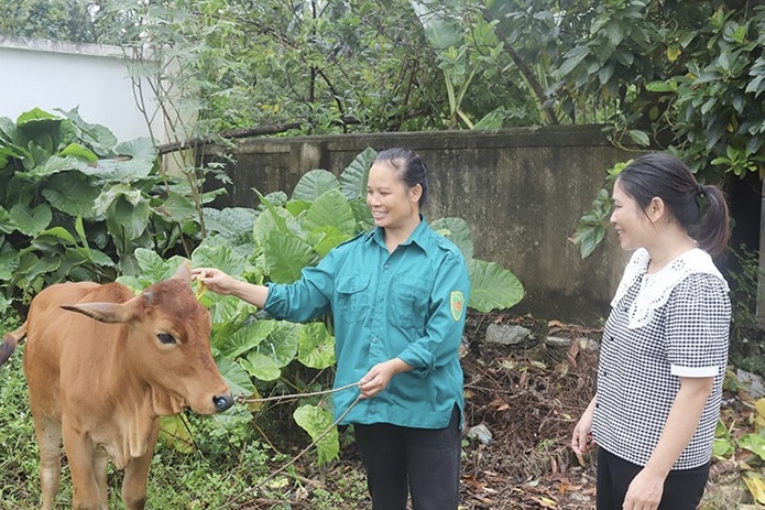 Đa dạng sinh kế giúp người dân Tứ Mỹ thêm cơ hội thoát nghèo bền vững