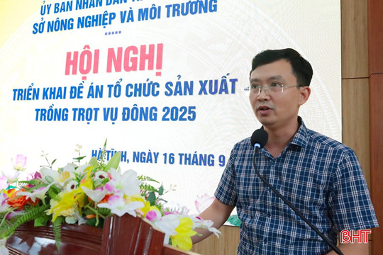 Vụ đông năm 2025, Hà Tĩnh phấn đấu gieo trồng 12.399 ha
