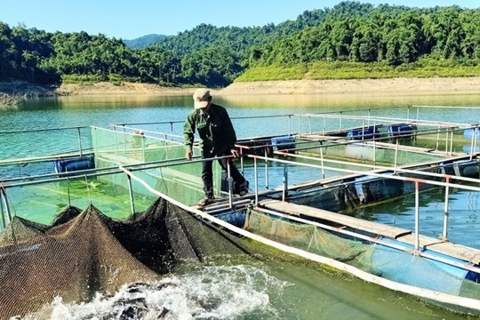 Tăng cường các biện pháp khắc phục, ổn định sản xuất, phòng chống dịch bệnh NTTS sau mưa bão trên địa bàn tỉnh 