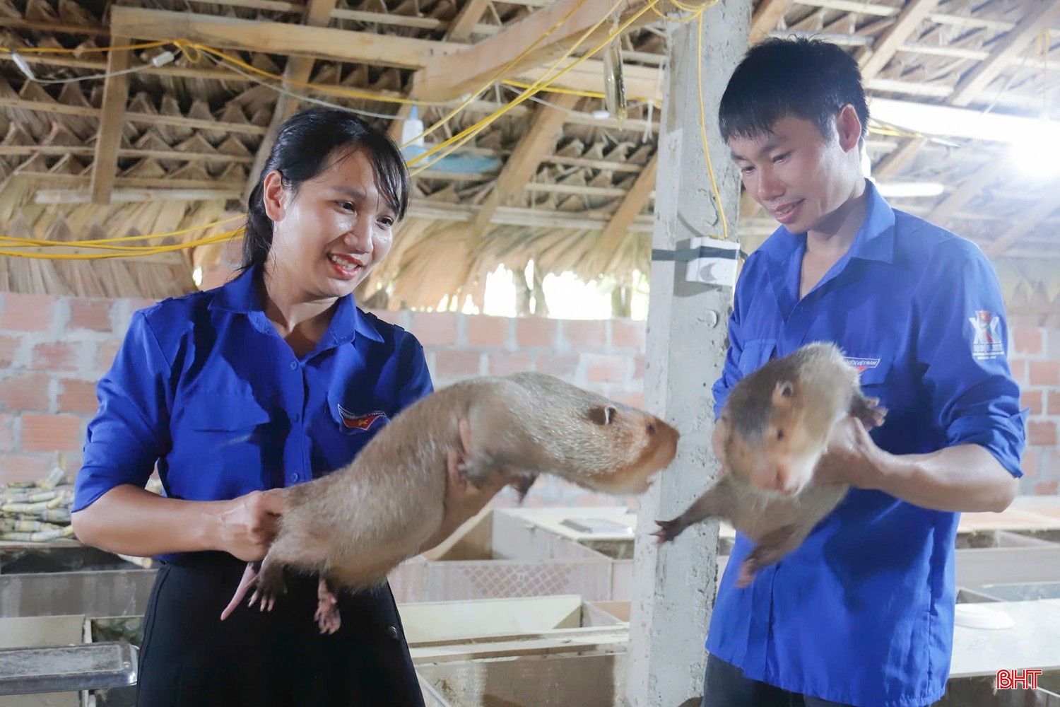 Phát triển các mô hình kinh tế thanh niên cho giá trị cao