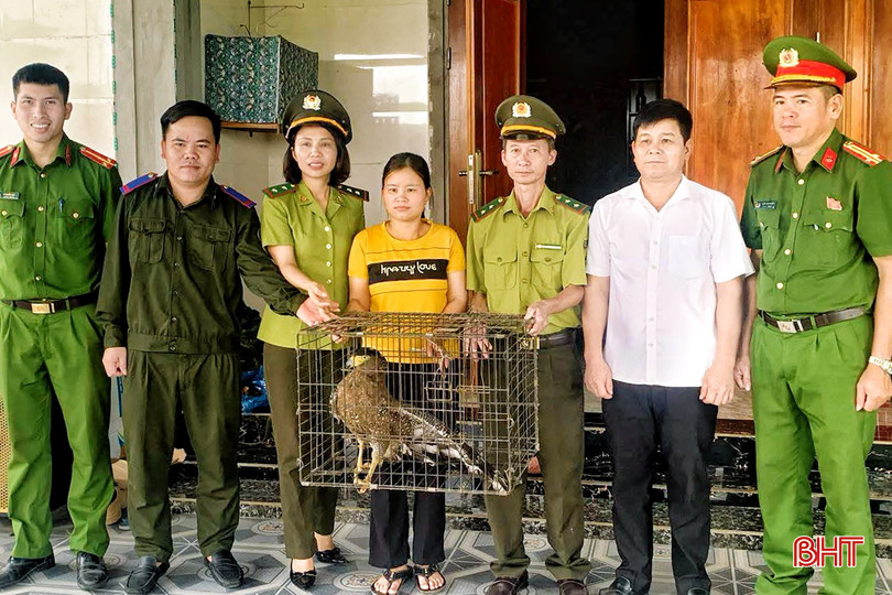 Người dân giao nộp 2 cá thể động vật quý hiếm cho Vườn Quốc gia Vũ Quang