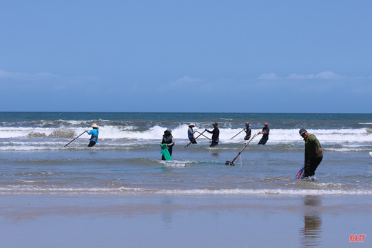 Ốc tép dạt vào bờ, ngư dân Hà Tĩnh kiếm tiền triệu mỗi ngày 