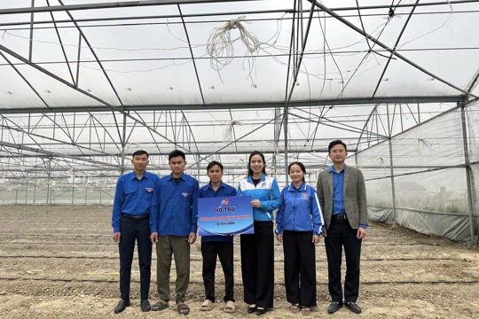 Thanh niên Hà Tĩnh khởi nghiệp từ mô hình nông nghiệp sạch