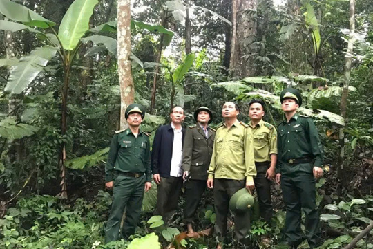 Hà Tĩnh tăng cường quản lý, bảo vệ rừng trước, trong và sau Tết Nguyên đán Bính Ngọ 2026