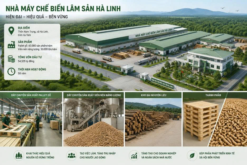 Hà Tĩnh chấp thuận chủ trương đầu tư Dự án Nhà máy chế biến lâm sản Hà Linh
