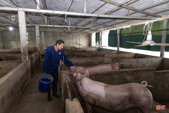 Nông dân Hà Tĩnh vững tin với mô hình chăn nuôi “5 không” của Quế Lâm