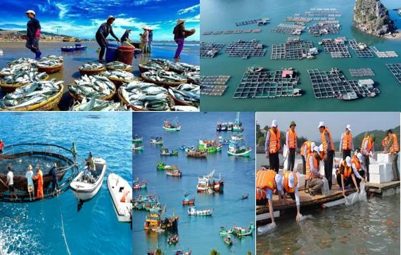 Bộ Nông nghiệp và Môi trường công bố thủ tục hành chính mới trong lĩnh vực thủy sản và kiểm ngư