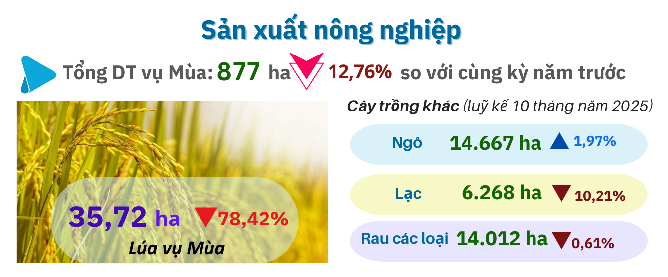 Tình hình kinh tế - xã hội tháng 10 và 10 tháng năm 2025 tỉnh Hà Tĩnh