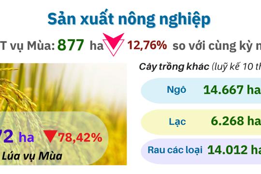 Tình hình kinh tế - xã hội tháng 10 và 10 tháng năm 2025 tỉnh Hà Tĩnh