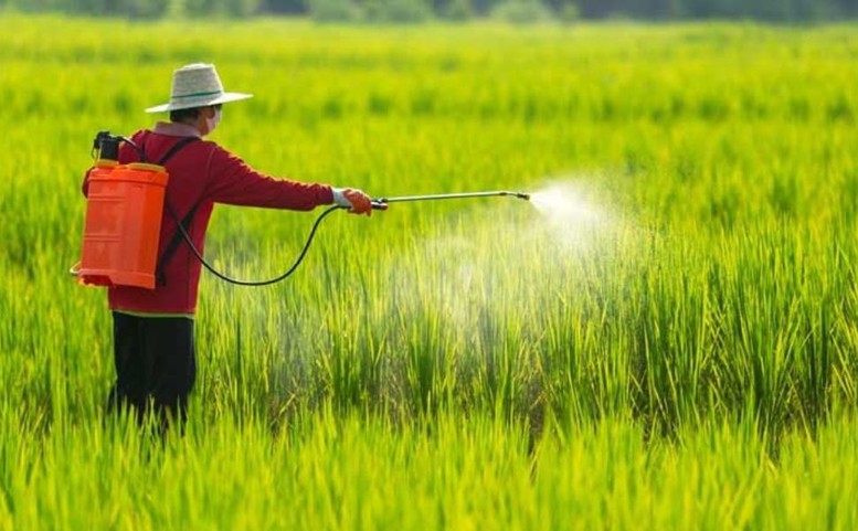 Quy định mới về điều kiện sản xuất, buôn bán thuốc bảo vệ thực vật