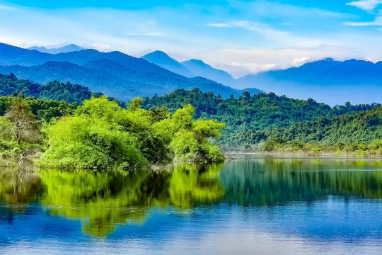 Lâm nghiệp Hà Tĩnh: Chuyển mình theo hướng bền vững, gia tăng giá trị