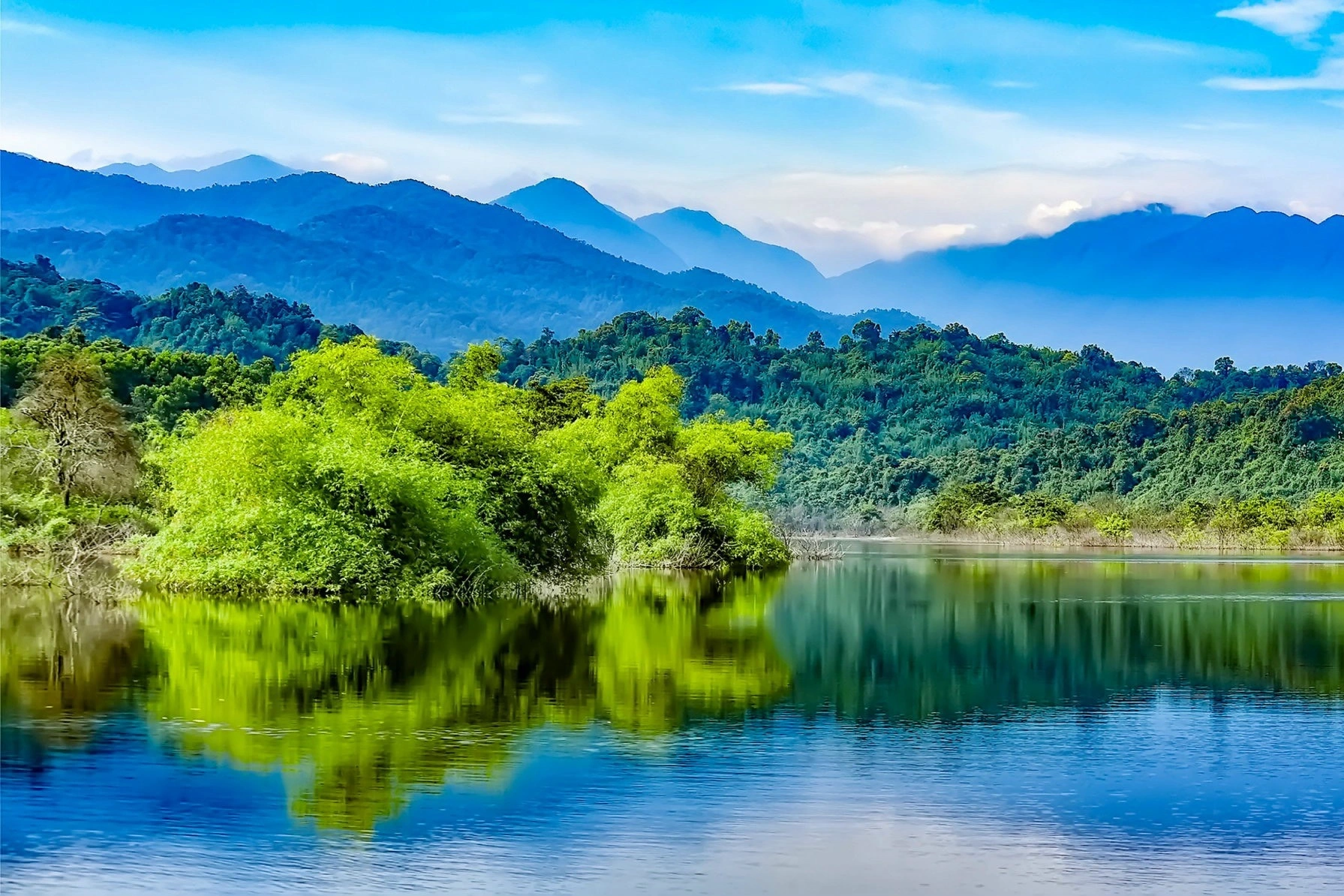 Lâm nghiệp Hà Tĩnh: Chuyển mình theo hướng bền vững, gia tăng giá trị