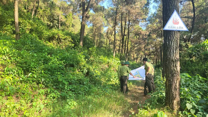Công điện khẩn về tăng cường biện pháp cấp bách phòng cháy, chữa cháy rừng trên địa bàn tỉnh Hà Tĩnh