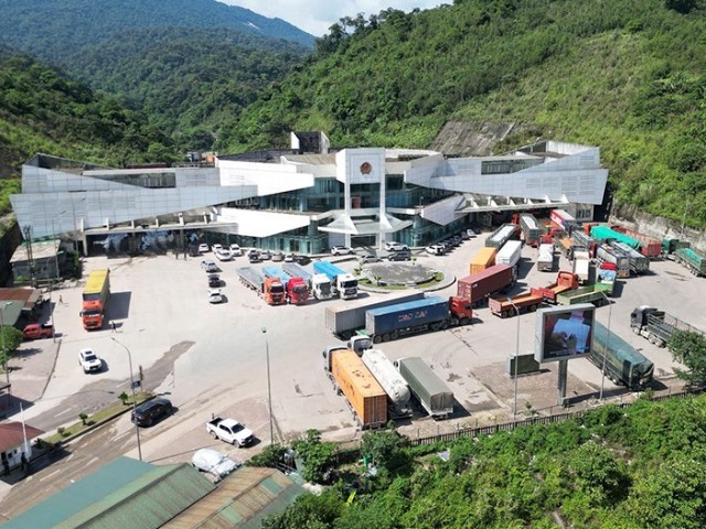 Chấp thuận chủ trương đầu tư Dự án Nhà máy chế biến lâm sản Hà Tân tại KKT Cửa khẩu quốc tế Cầu Treo 