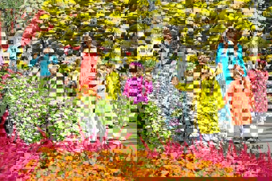 Lịch nghỉ Tết Nguyên đán Bính Ngọ 2026 và các chỉ đạo tổ chức vui xuân, đón Tết 