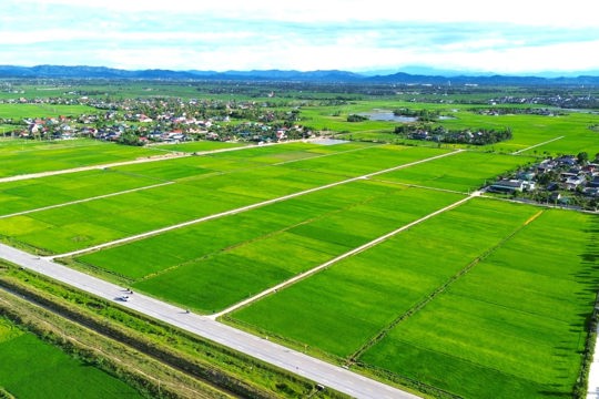 Bộ Nông nghiệp và Môi trường ban hành Thông tư bãi bỏ nhiều  văn bản quy phạm pháp luật