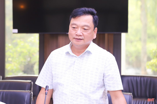 Hà Tĩnh thúc đẩy phát triển bền vững cây dó bầu