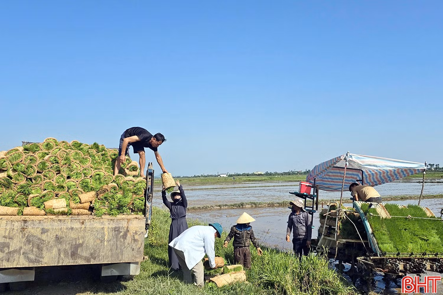 Nhờ có hệ thống giao thông nội đồng đảm bảo, các loại máy móc, cơ giới có điều kiện thuận lợi để triển khai thực hiện mô hình thâm canh lúa cải tiến trên đồng đất thôn Hà Phong.