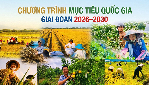 Quy định mức hỗ trợ phát triển sản xuất thuộc các Chương trình mục tiêu quốc gia giai đoạn 2026–2030 trên địa bàn tỉnh