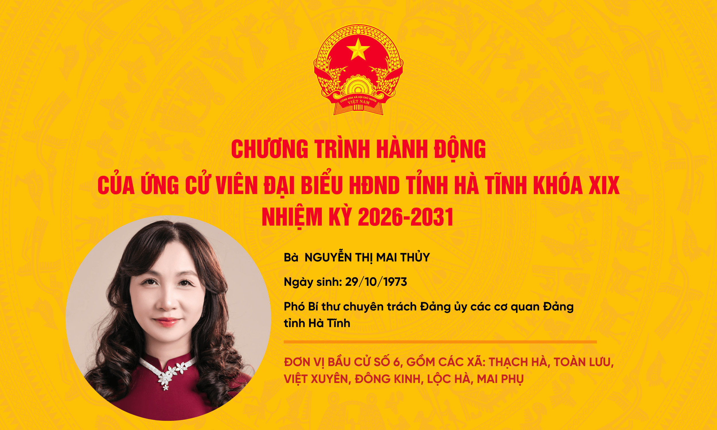Chương trình hành động của ứng cử viên đại biểu HĐND tỉnh khóa XIX Nguyễn Thị Mai Thủy