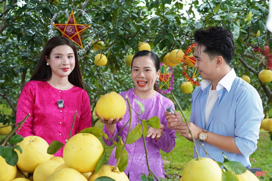 Hà Tĩnh đưa đặc sản quê hương lên sóng Mega Live
