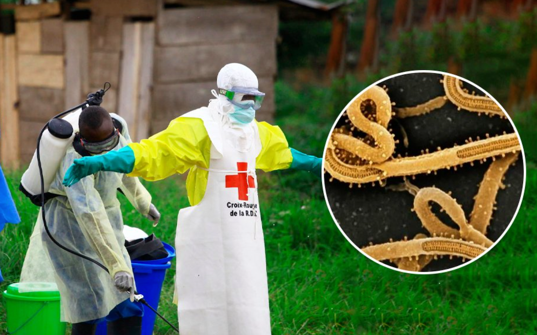 Khẩn trương phòng chống nguy cơ dịch Ebola xâm nhập