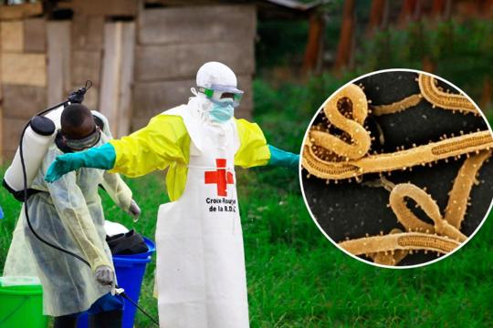 Khẩn trương phòng chống nguy cơ dịch Ebola xâm nhập