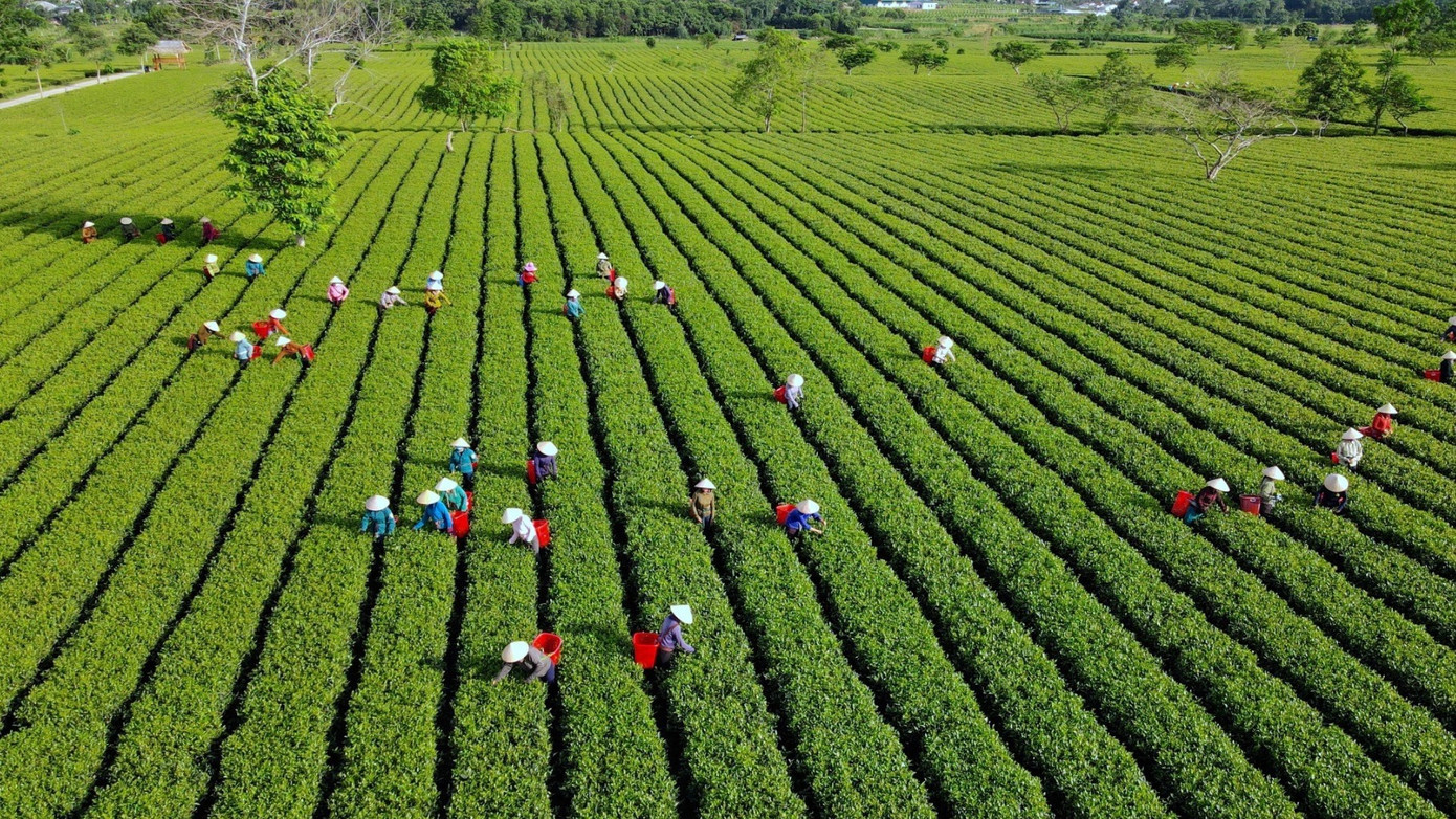 Truyền thông tạo động lực xây dựng nông thôn mới, giảm nghèo bền vững