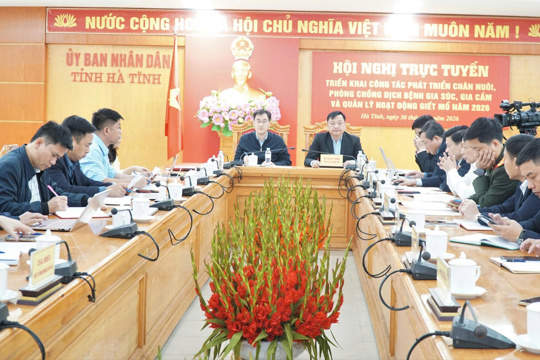 Hà Tĩnh triển khai quyết liệt các giải pháp phát triển chăn nuôi, phòng chống dịch bệnh gia súc gia cầm năm 2026