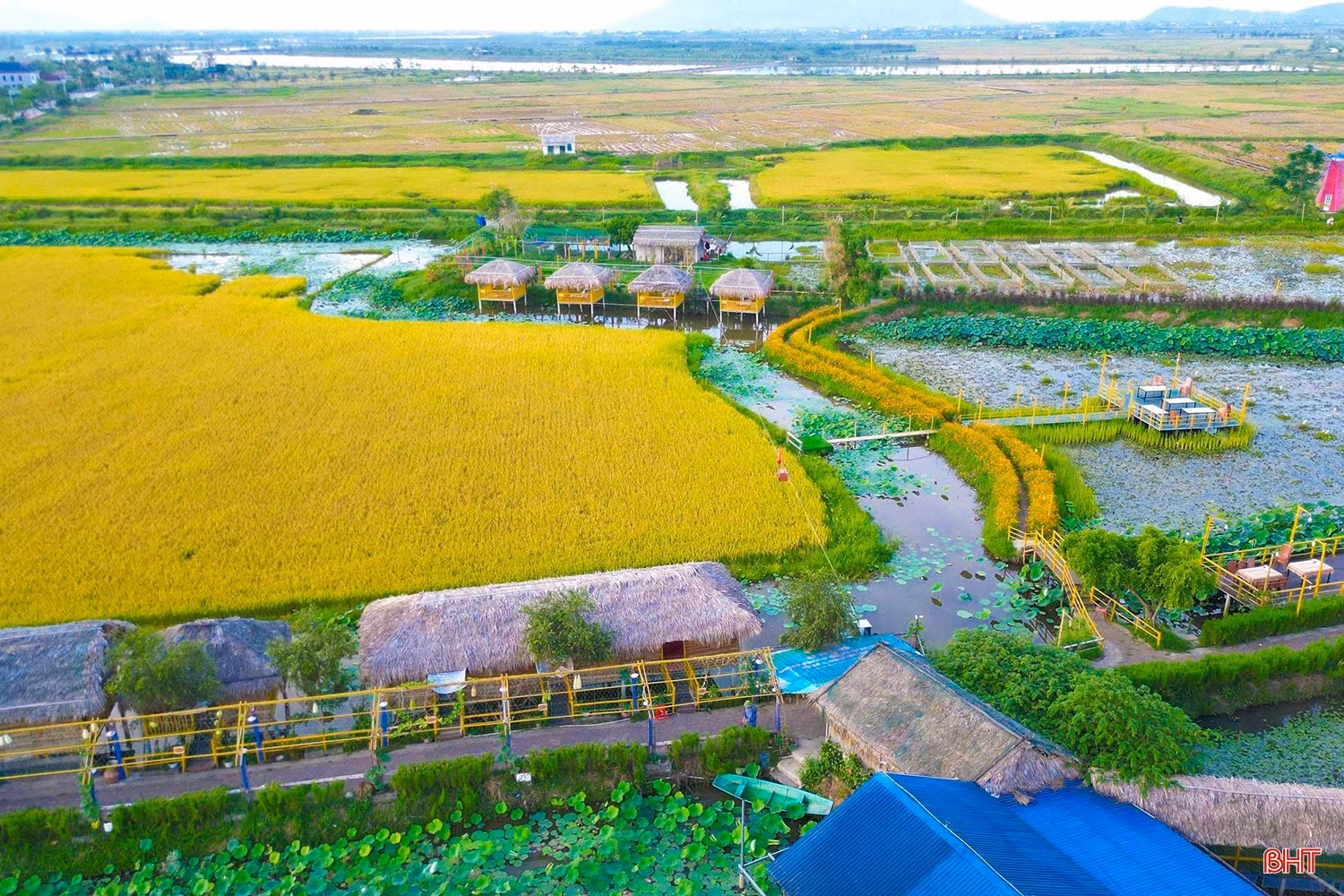 lien-trang.jpg