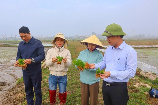 Chủ động sản xuất, tạo đột phá trong vụ xuân 2026