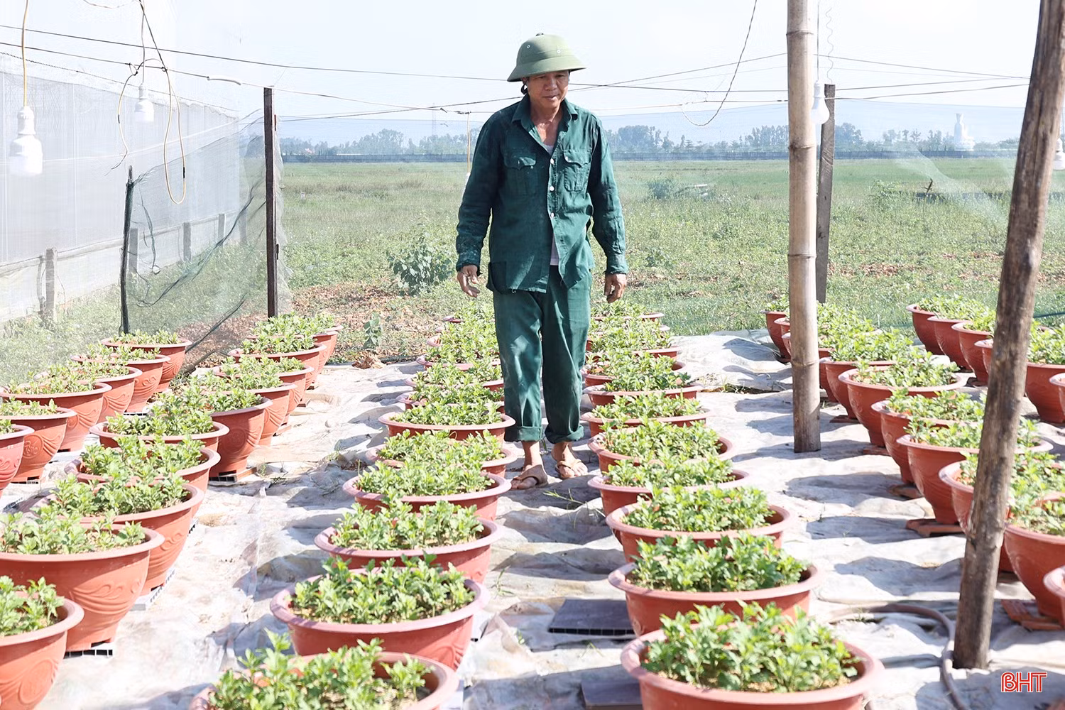 Vựa hoa ở Hà Tĩnh tất bật sản xuất phục vụ Tết 