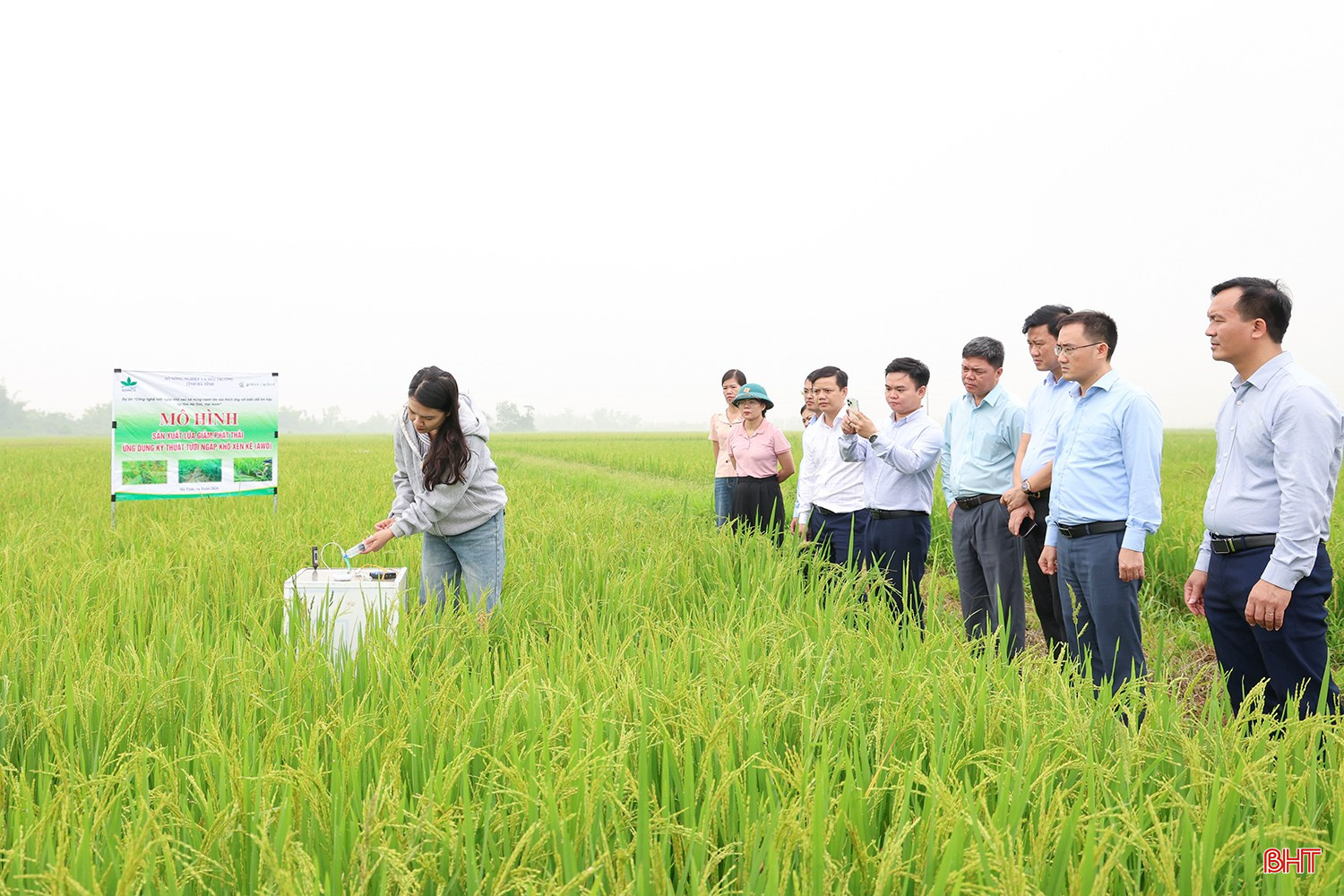 Hà Tĩnh sẽ áp dụng kỹ thuật tưới ngập - khô xen kẽ thêm 5.400ha