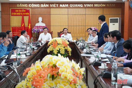 17 xã ở Hà Tĩnh đăng ký trồng hơn 653ha dứa liên kết