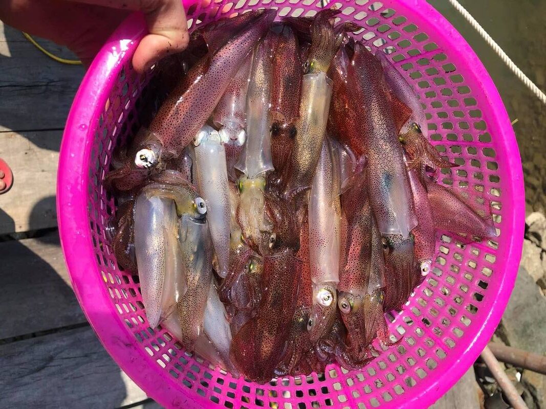 đặc sản Hà Tĩnh