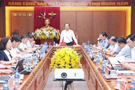 Thường trực Tỉnh ủy Hà Tĩnh cho ý kiến về “Đề án Trục không gian đô thị sáng tạo văn hóa Truyện Kiều”