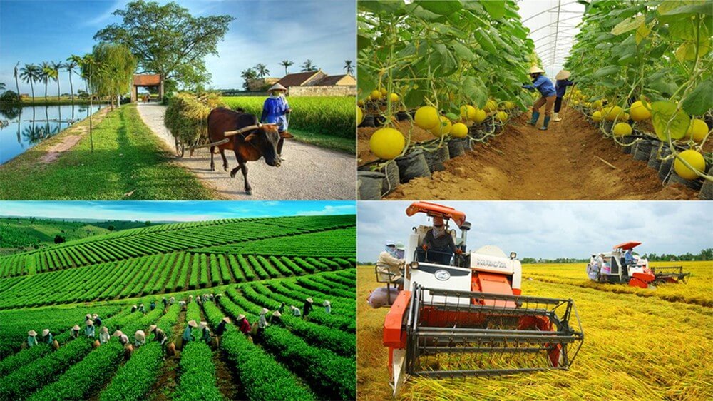 Quy định mới về đăng ký tổ hợp tác, hợp tác xã, liên hiệp hợp tác xã