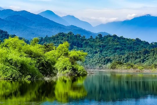 Thông cáo báo chí v/v ban hành đơn giá trồng rừng thay thế khi chuyển mục đích sử dụng rừng sang mục đích khác trên địa bàn tỉnh Hà Tĩnh 