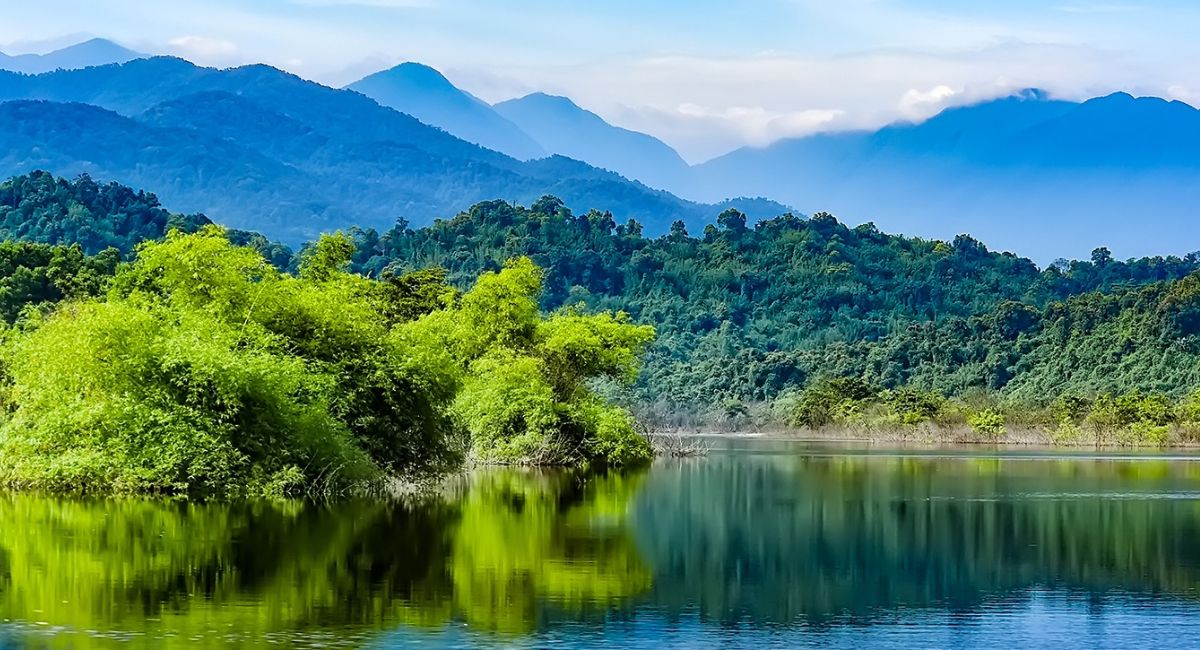 Thông cáo báo chí v/v ban hành đơn giá trồng rừng thay thế khi chuyển mục đích sử dụng rừng sang mục đích khác trên địa bàn tỉnh Hà Tĩnh