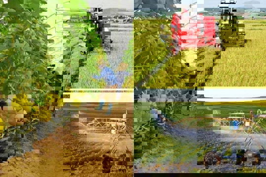 Điều kiện công nhận xã đạt chuẩn nông thôn mới, nông thôn mới hiện đại